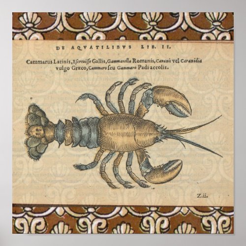 Lobster Illustration Antique Maine Seafood Poster