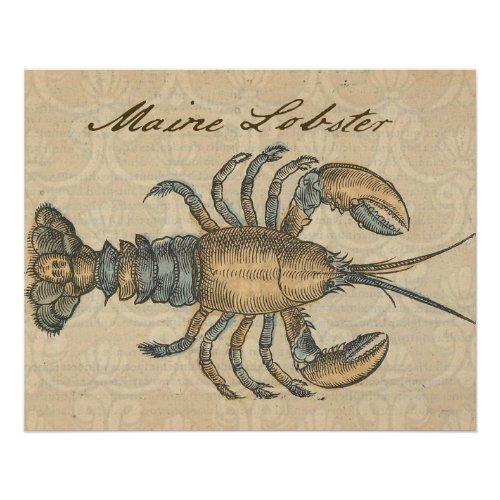 Lobster Illustration Antique Maine Seafood Poster