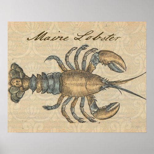 Lobster Illustration Antique Maine Seafood Poster