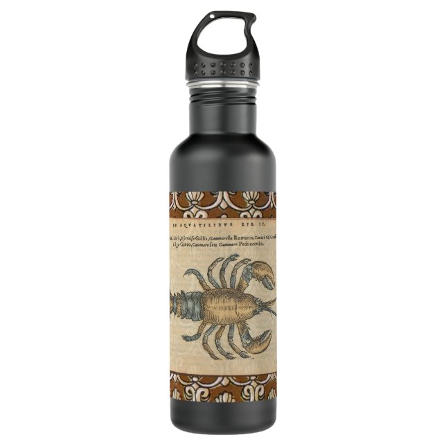 Lobster Illustration Antique Maine Seafood Stainless Steel Water Bottle (Front)