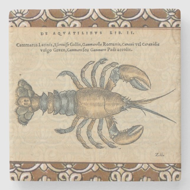 Lobster Illustration Antique Maine Seafood Stone Coaster (Front)