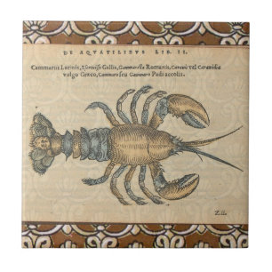 Lobster Illustration Antique Maine Seafood Tile