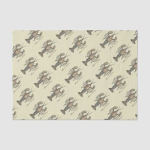 Lobster Illustration Antique Maine Seafood Tissue Paper