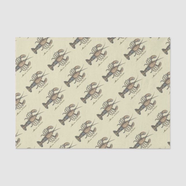 Lobster Illustration Antique Maine Seafood Tissue Paper (Front)