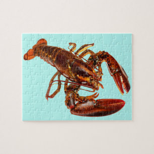 Lobster Jigsaw Puzzle