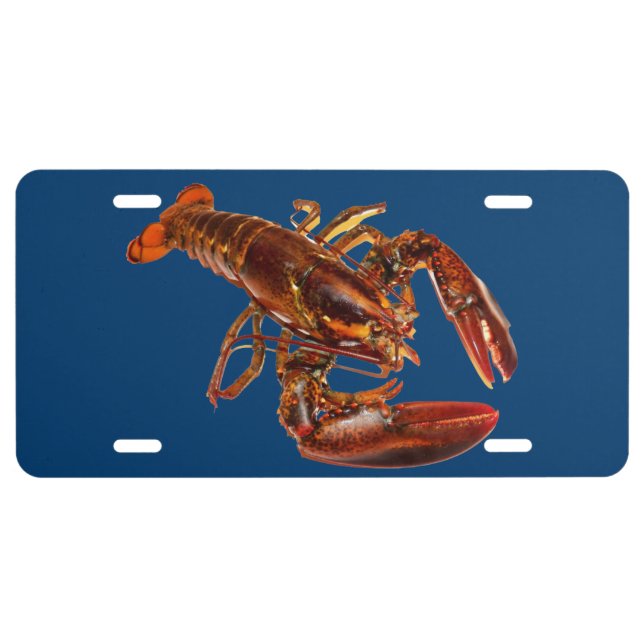 Lobster License Plate (Front)