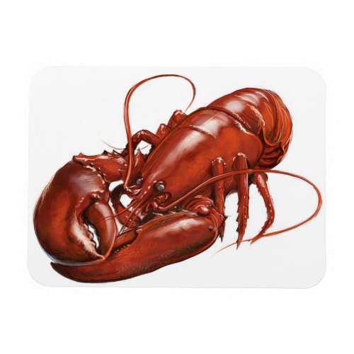 Lobster magnet