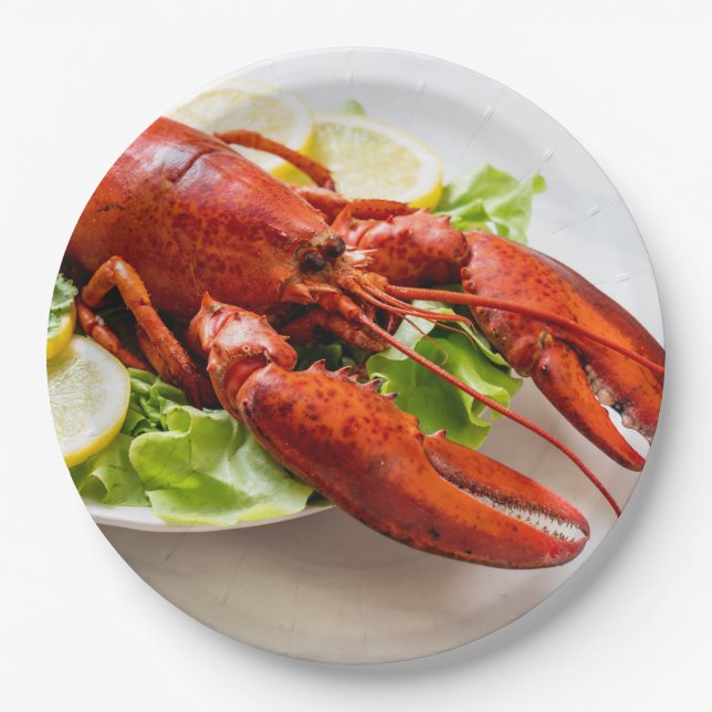 Lobster Photo Paper Plates (Front)