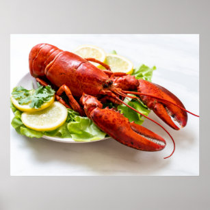 Lobster Photo Poster
