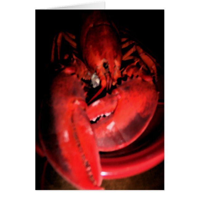 Lobster Photography Cards (Front)