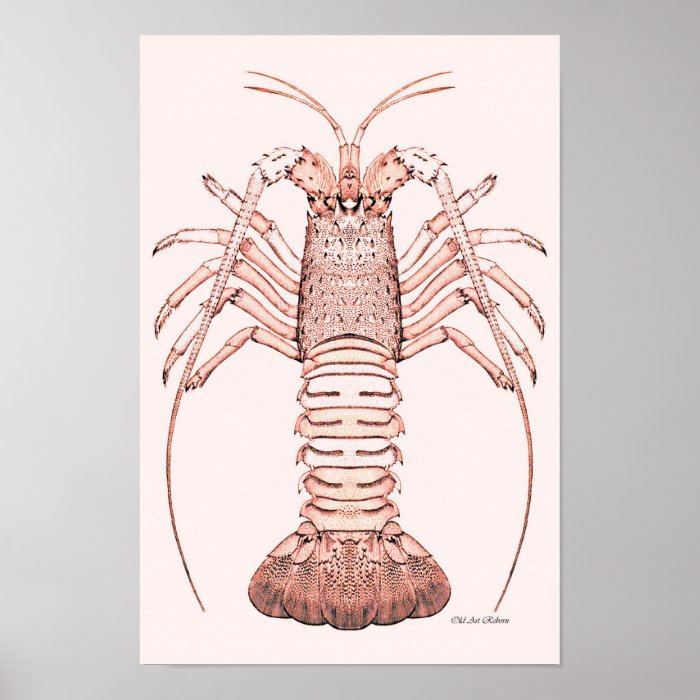 Lobster Poster ~ Rock Lobster