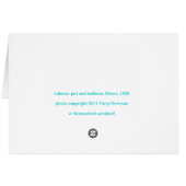 Lobster pot and bobbers, Maine, USA (Back Horizontal)