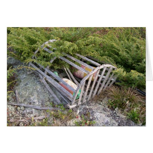 Lobster pot and bobbers, Maine, USA (Front Horizontal)