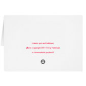 Lobster pot and bobbers, Maine, USA (Back Horizontal)