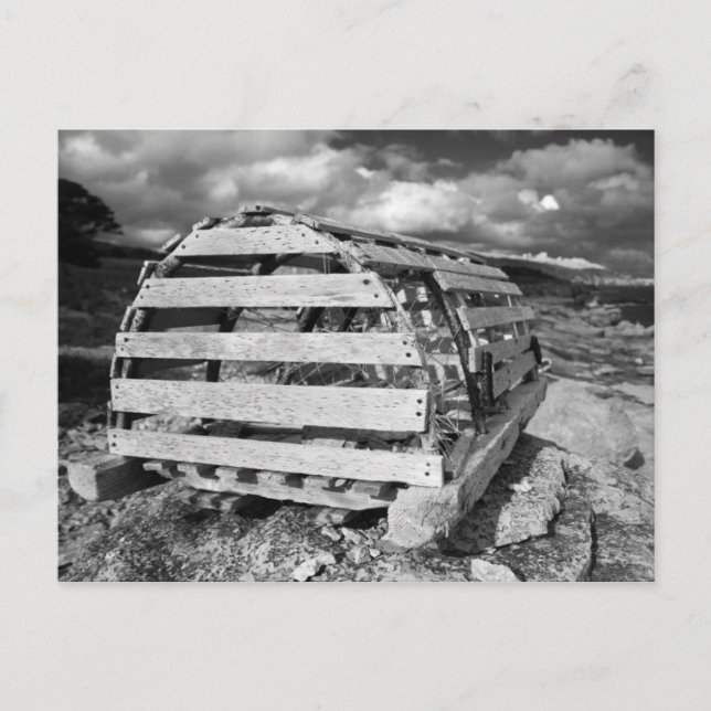 Lobster Pot Postcard (Front)