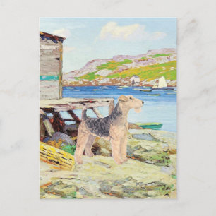 Lobster Pots Postcard