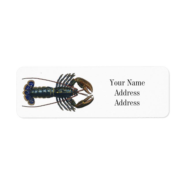 Lobster Shellfish Seafood Maine Classic Ocean Label (Front)