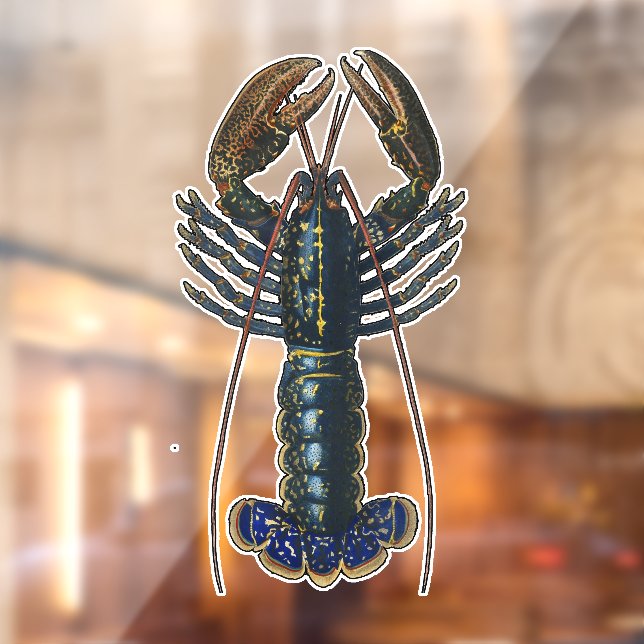 Lobster Shellfish Seafood Maine Classic Ocean Window Cling (Sheet 2)