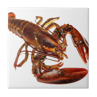 Lobster Tile
