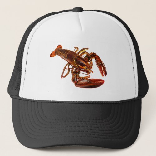 Lobster Trucker Hat