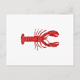Lobster Vector Postcard
