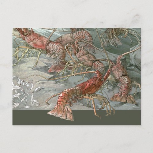 Lobsters in the Ocean Vintage Art Nouveau Postcard
