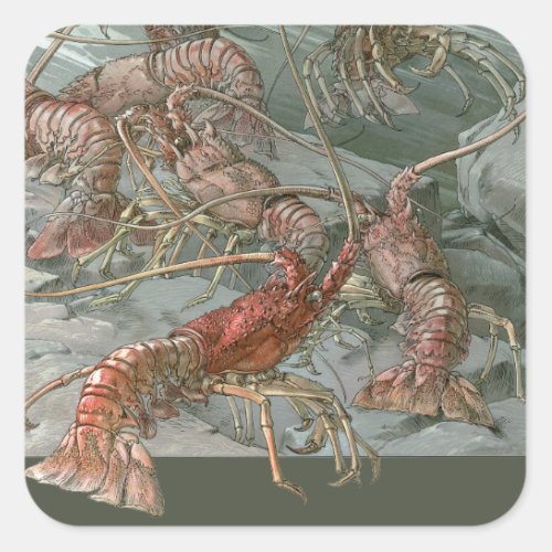 Lobsters in the Ocean Vintage Art Nouveau Square Sticker
