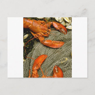 Lobsters Postcard