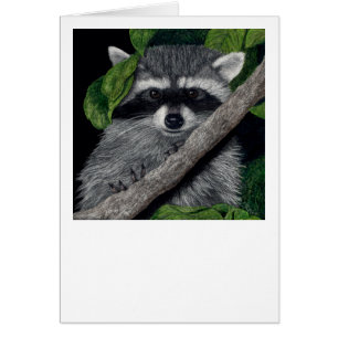 "Local Bandit" Raccoon Card
