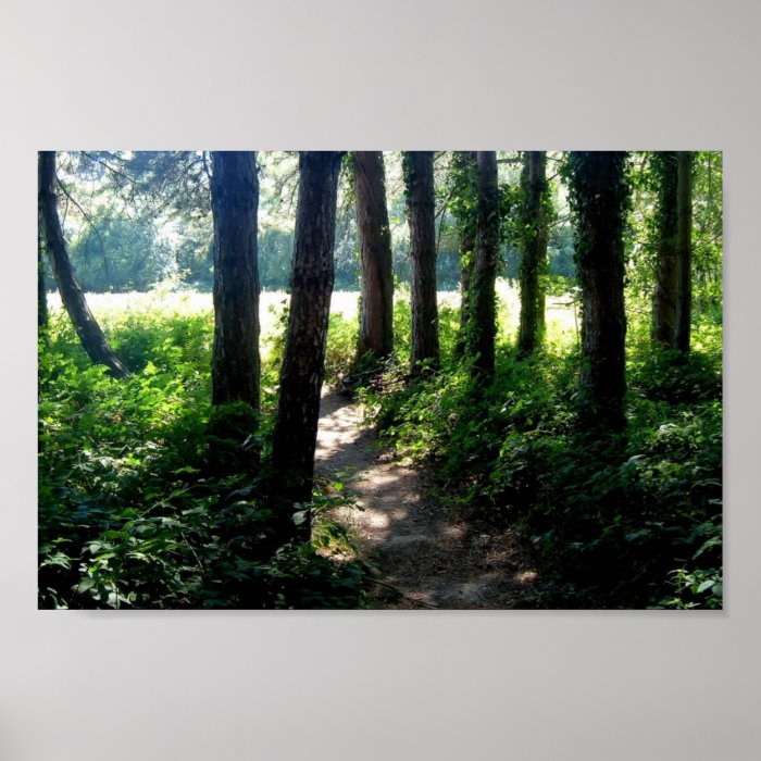 Local Woodland Scenes Print