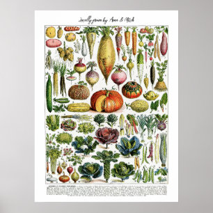 Locally Grown French Vintage Vegetables Chart
