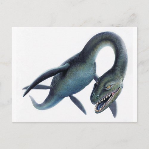 Loch Ness Monster Postcard