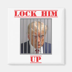 Lock Him Up Magnet