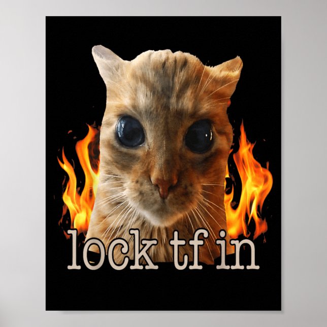 Lock tf in cat poster (Front)