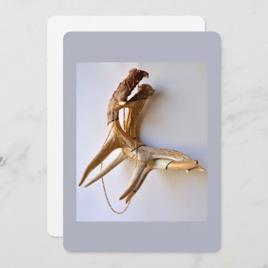 Locked horns flat card (Front/Back)