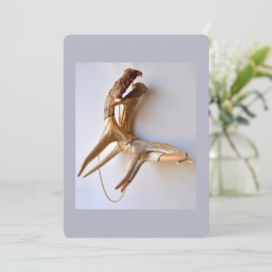 Locked horns flat card (Standing Front)