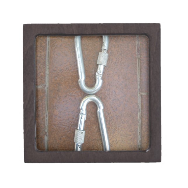 Locked In: Durable Steel Carabiner Lock Design Jewelry Box (Front)