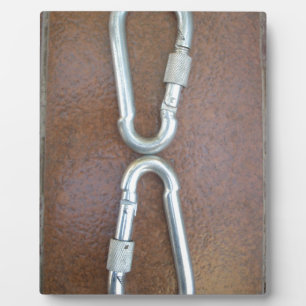 Locked In: Durable Steel Carabiner Lock Design Plaque
