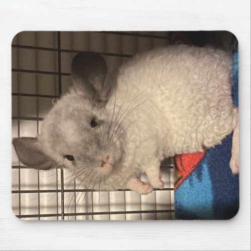 Locken Curly Chinchilla Mousepad