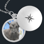 Locket - Customized<br><div class="desc">Cute schnauzer dog with a perky ears.</div>