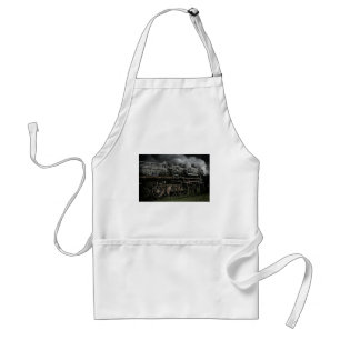 locomotive steam engine train rail railway adult apron