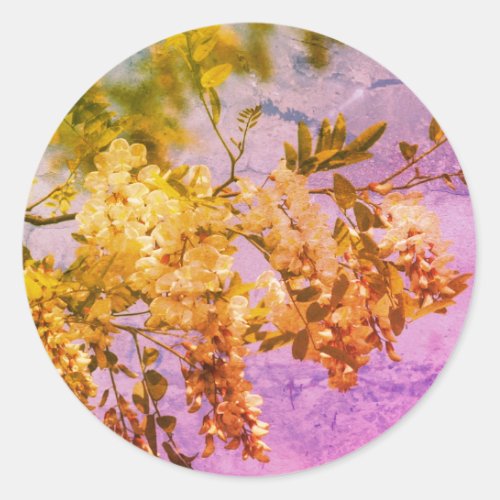 Locust Flower Blossoms Art Classic Round Sticker