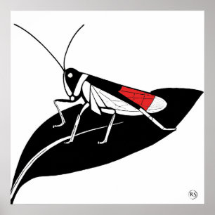 Locust On A Leaf - Archival Art Print