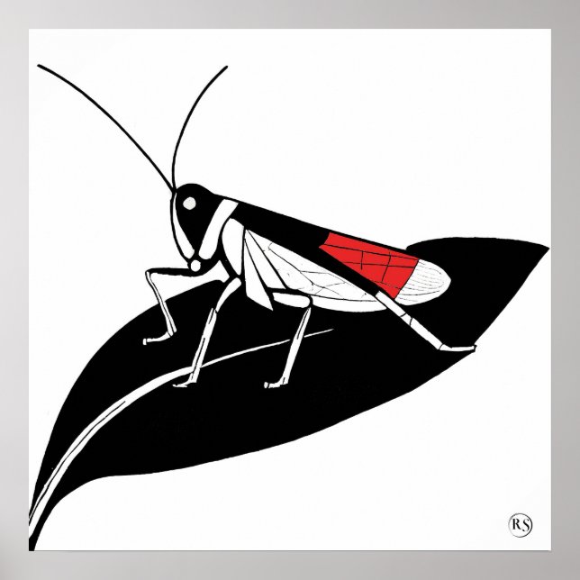 Locust On A Leaf - Archival Art Print (Front)