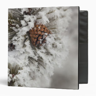 Lodgepole Pine cone in winter in Yellowstone Binder