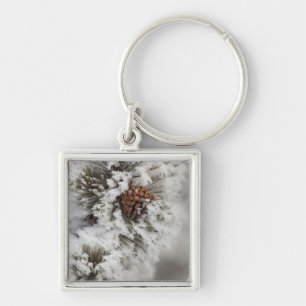 Lodgepole Pine cone in winter in Yellowstone Keychain
