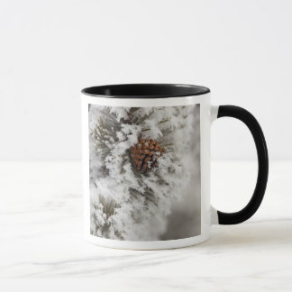 Lodgepole Pine cone in winter in Yellowstone Mug