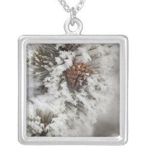 Lodgepole Pine cone in winter in Yellowstone Silver Plated Necklace