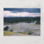 Lodgepole Pine Yellowstone National Park 1968