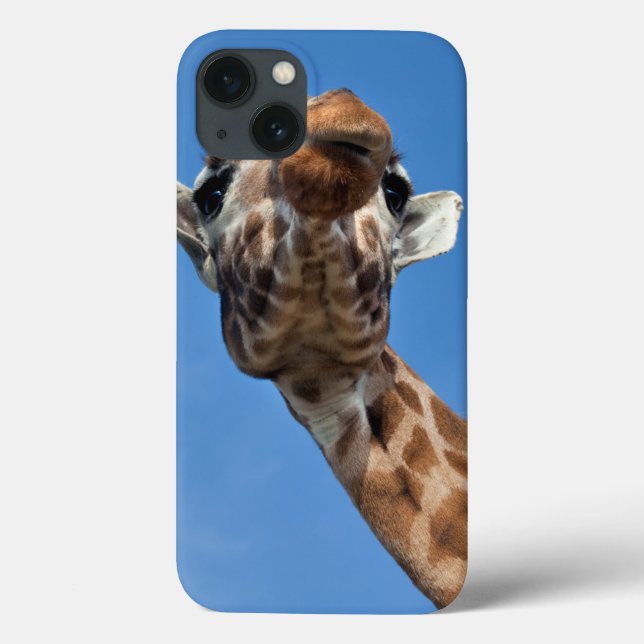 Lofty iPad Case (Back)